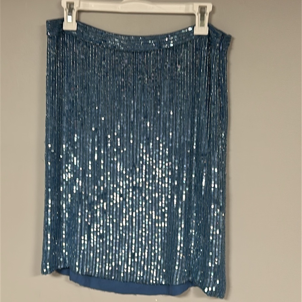 INC Glass beaded  and sequined silk skirt, lovely heaviness, Ice Blue,  Lined, 6